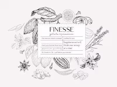 Finesse - Visual identity