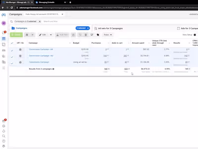 Cross-Platform Paid Social Campaign – Meta & TikTok