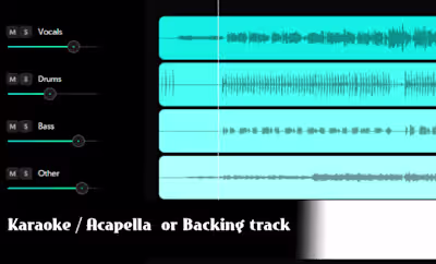 I will create karaoke instrumentals or acapellas from any song