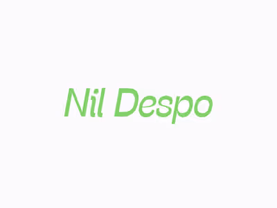Nil Despo