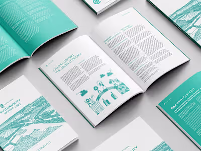 Visual Identity Refinement for Cornish Lithium