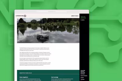 Copperstone Technologies Website