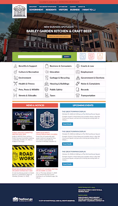 Government Website Design