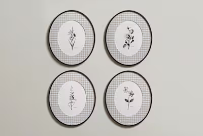 Birth Flower Zodiac Illustrations