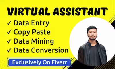 I will do data entry, data mining, data collection, copy-paste