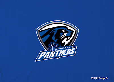 Oppsal Panthers - Concept