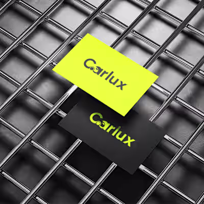 Carlux Branding