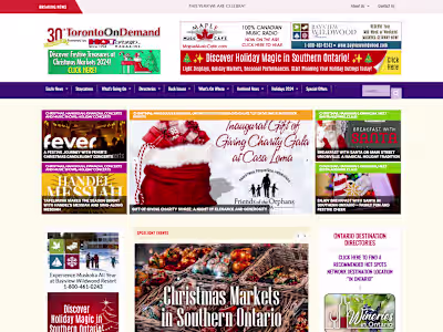 Dynamic Entertainment Website