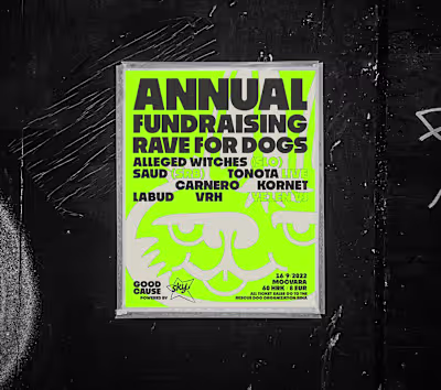 Rave for a Cause poster