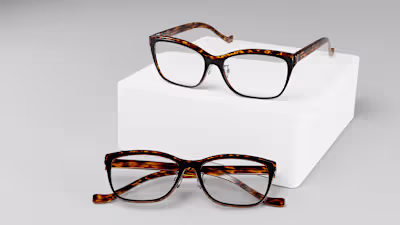 Eyeglasses  (3D Model and Render)