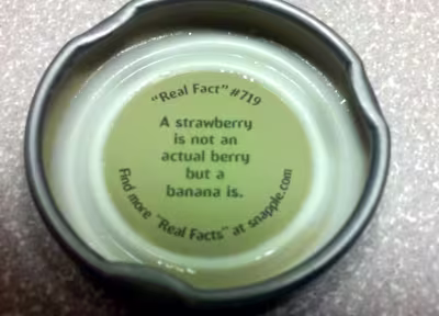 Snapple Real Facts
