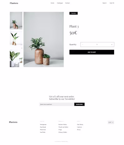 Revamping Digital Platform for E-commerce Store