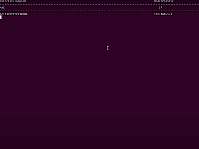 Network Reconnaissance Tool