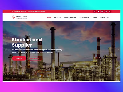 Tradeserve International Corporate Website Design