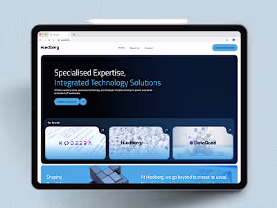 Hiedberg — All-in-One IT Solutions Partner