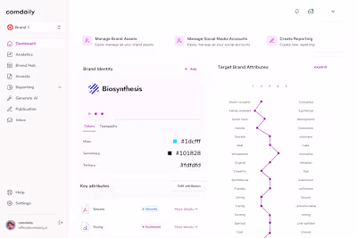 Helping Comdaily launch their web app