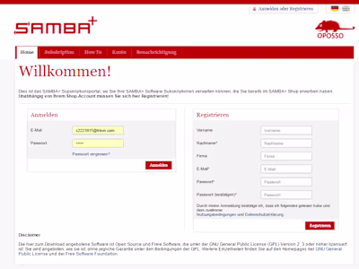 Samba+ IT Consulting