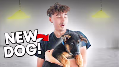 We Got a Dog!!! - YouTube