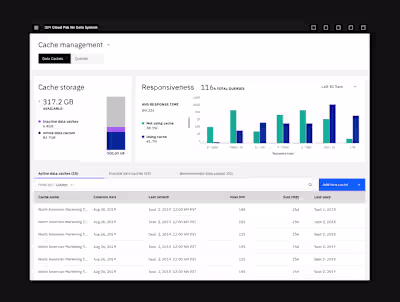 IBM Cache and Query Management 