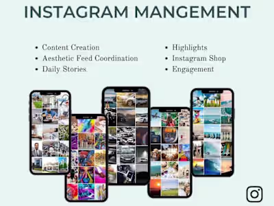 Instagram Management
