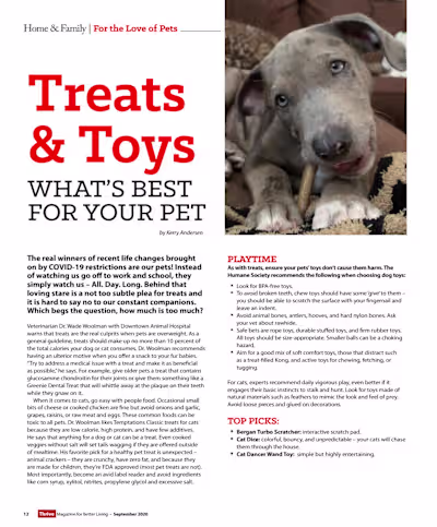 Pet Treats & Toys