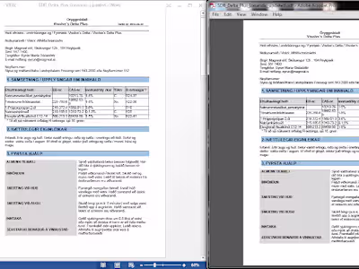 Microsoft Word document conversion, formatting and layout 