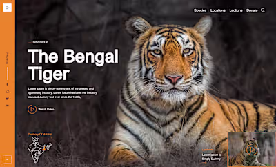 WordPress Landing Page Design in Figma