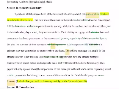 Revised and edited research document