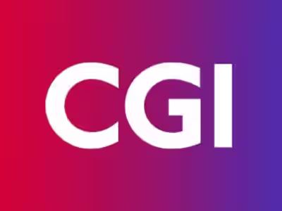 Software Developer and Consultant