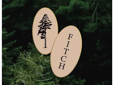 Logo and Identity Exploration for Fitch Carpentry.