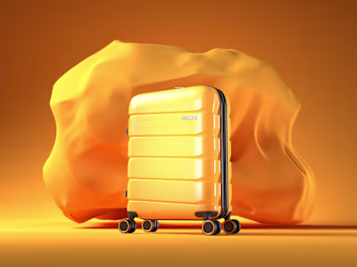 American Tourister Luggage