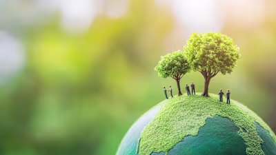 Project Type: Lead Magnet Creation, Email Copywriting & Auto...