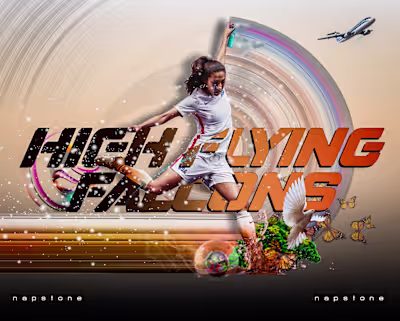 High Flying Falcons