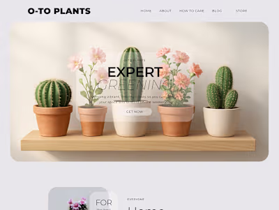 🌵 Plant Shop O-TO | Figma Design & Webflow Development