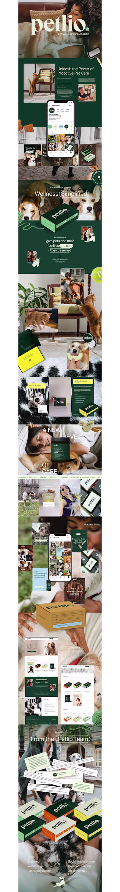 Rebranding for Petlio's Digital and Physical Assets