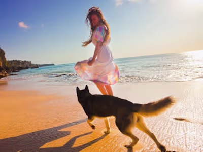 How To Travel Around Australia With Your Dog? A Proper Guide