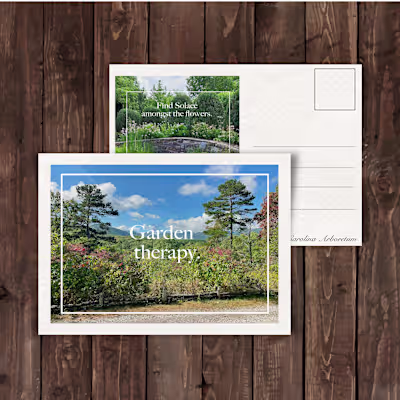 North Carolina Arboretum Post Card