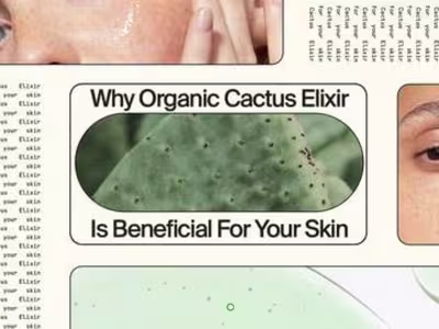 [Meet The Muse] Organic Cactus Elixir