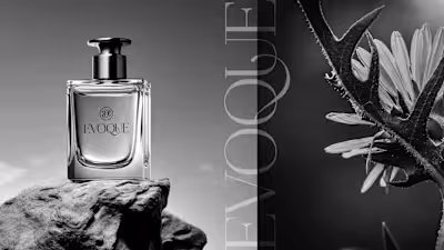 EVOQUE-Perfume Brand Identity