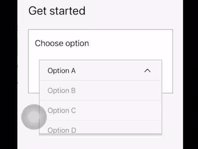 Custom dropdown menu