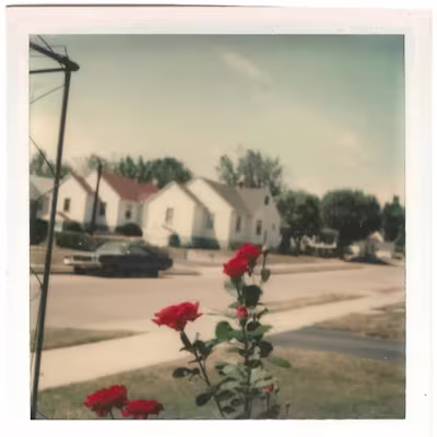 Ghost Produced Remix of 'ABCDEFU' by Gayle