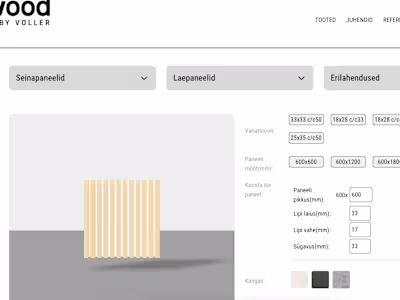 Custom 3d rendering program