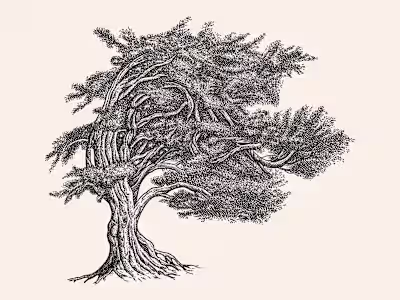 Your partner in volatility & relative value trading strategies …