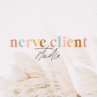 Nerve Client Studio Brand Design 