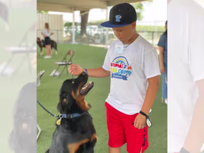 Community spotlight: The Mary S. Roberts Pet Adoption Center - …