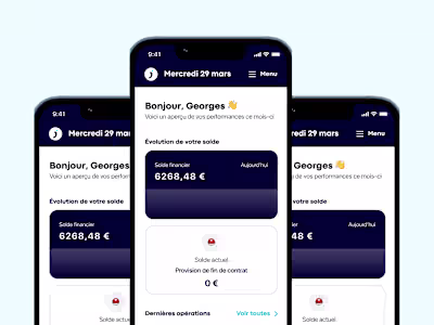 Optimizing the expenses reporting process for freelancers