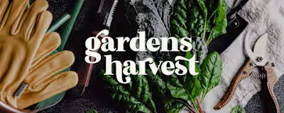 Logo & Packaging - Gardens Harvest