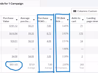 Successful Facebook Ad Campaign 7.80 ROAS