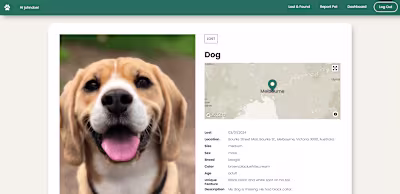 Lost and Found Application