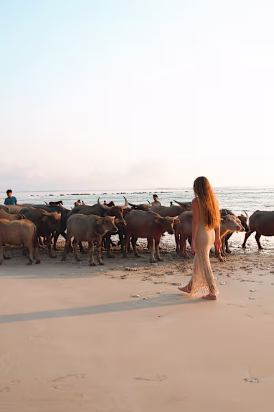 I collaborated with a media